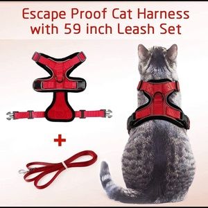 Cat harness (red and yellow, set of 2 harnesses)